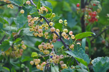 Similar image 21120496