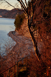 Similar image 21120498