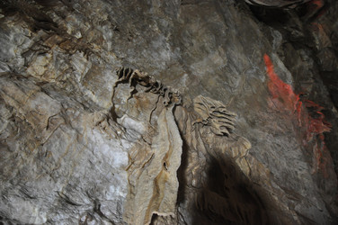 Similar image 21120499