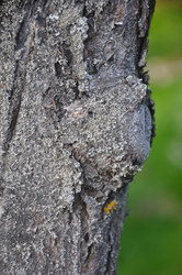 Similar image 21121881