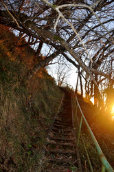 Similar image 21121882