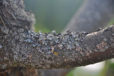 Similar image 21122073