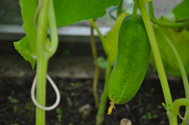 Similar image 21122075