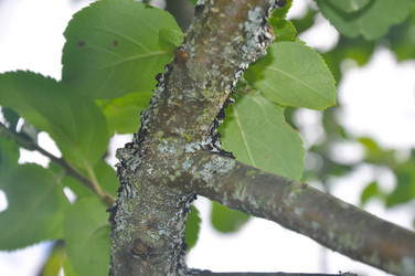 Similar image 21122077