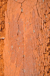 Similar image 21122080