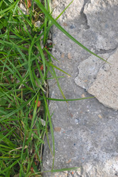 Similar image 21122082