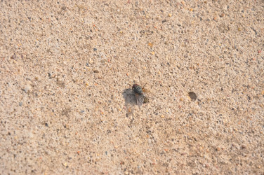 Similar image 21122084