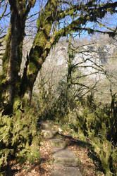 Similar image 21122085