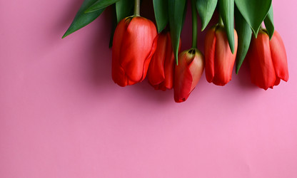 Similar image 21087848