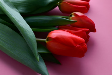 Similar image 21087849