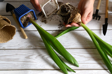 Similar image 21087853