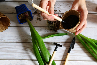 Similar image 21087855