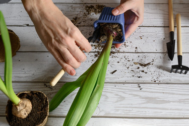 Similar image 21087856