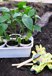 Similar image 21087864