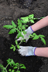 Similar image 21087866