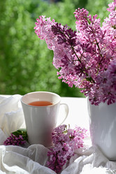 Similar image 21087867