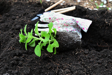 Similar image 21087874