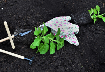 Similar image 21087875