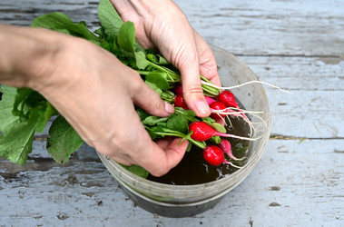 Similar image 21087877