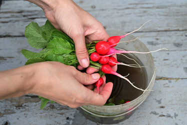 Similar image 21087878