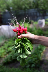 Similar image 21087879