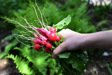 Similar image 21087880