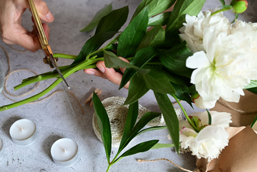 Similar image 21087881