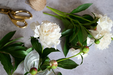 Similar image 21087885