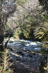 Similar image 21122623