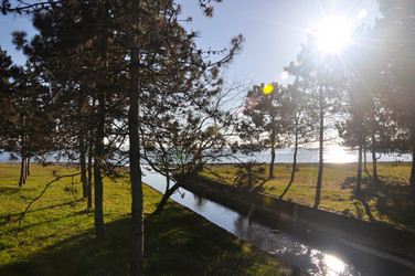 Similar image 21122643