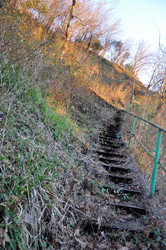 Similar image 21122666