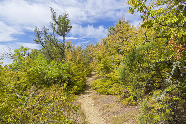 Similar image 21086513