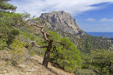 Similar image 21086514