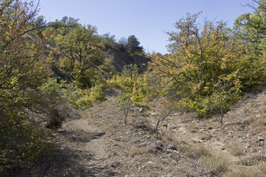 Similar image 21086522