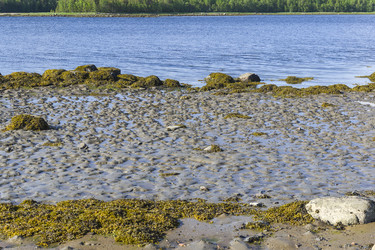 Similar image 21086523