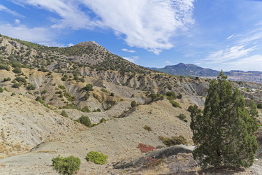 Similar image 21086527