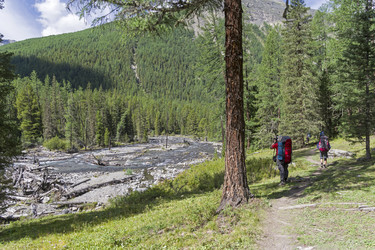 Similar image 21085486