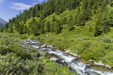 Similar image 21085489