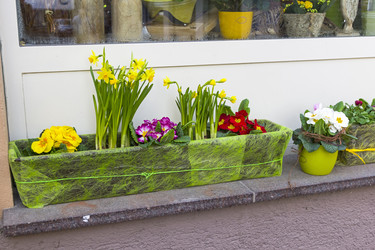 Similar image 21085497