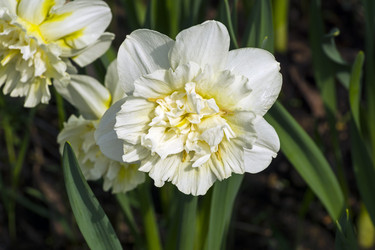 Similar image 21085501