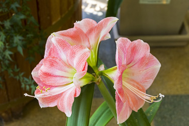 Similar image 21085502