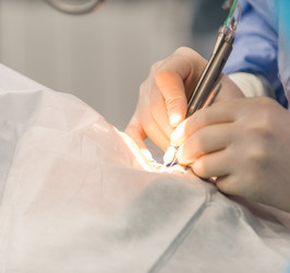 Similar image 21129381