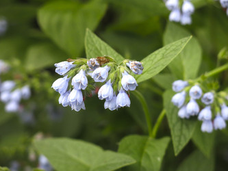 Similar image 21087556