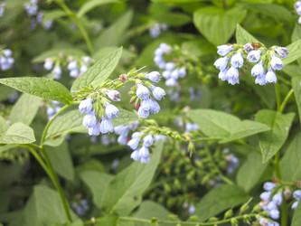 Similar image 21087557