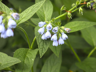 Similar image 21087558