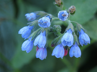 Similar image 21087560