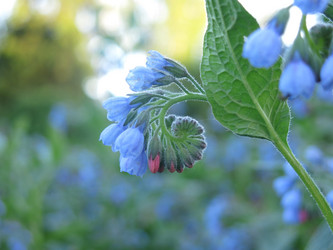 Similar image 21087588