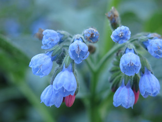 Similar image 21087589