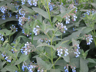 Similar image 21087590