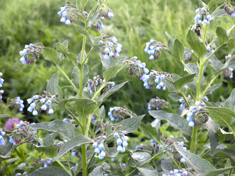 Similar image 21087592